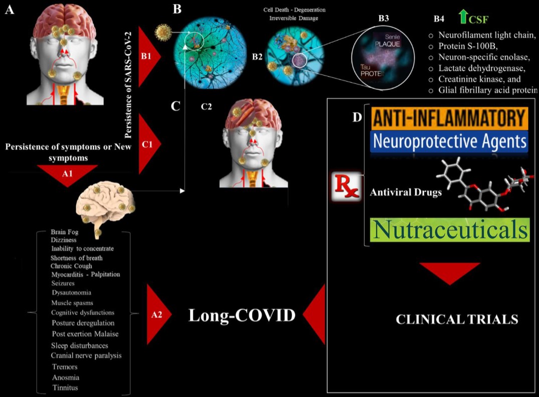 Underlying Causes and Treatment Modalities for Neurological Deficits in COVID-19 and Long-COVID